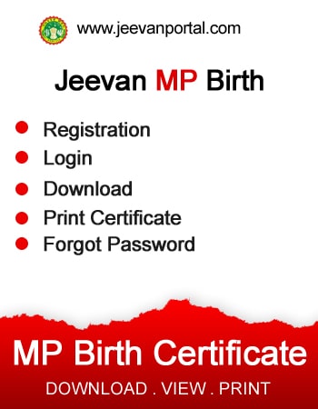 ../banner/53mpbirthcertificate_side_banner.jpg